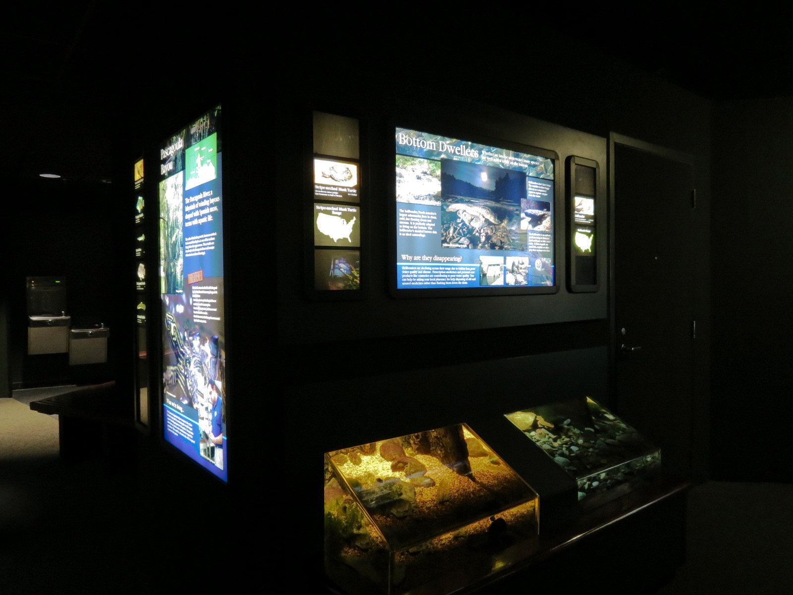 Discovery Hall - 2 Bottom Dwellers Exhibits