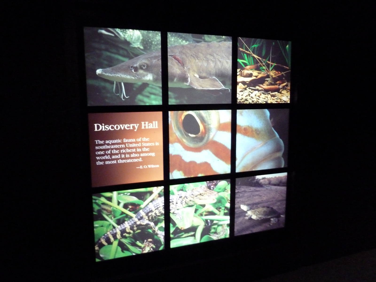 Discovery Hall - Entrance Sign