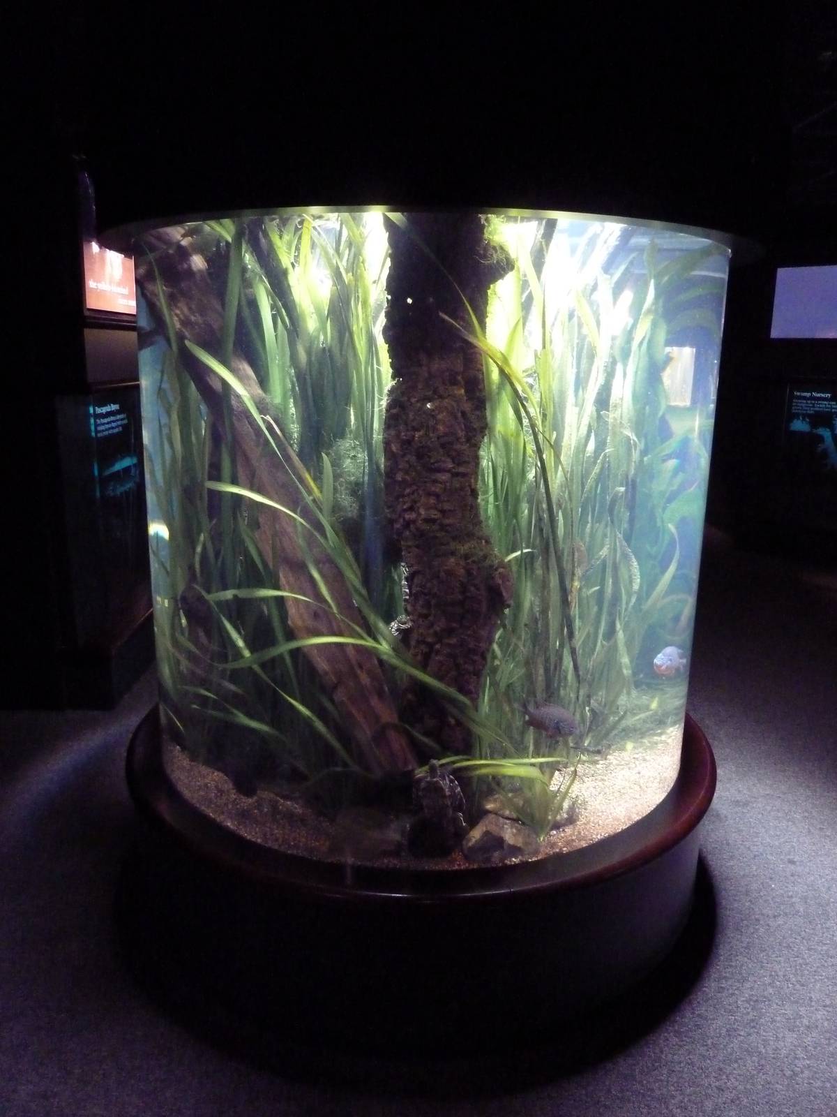 Discovery Hall Exhibit