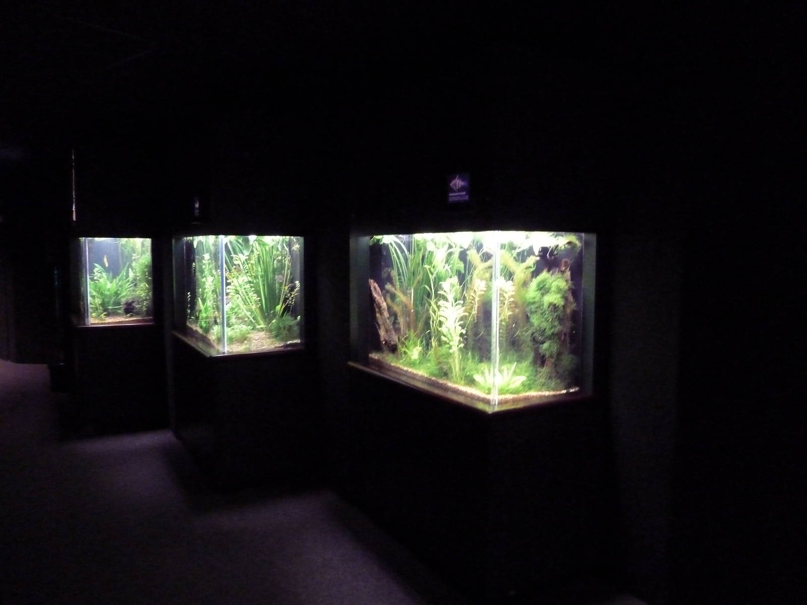 Discovery Hall Exhibits