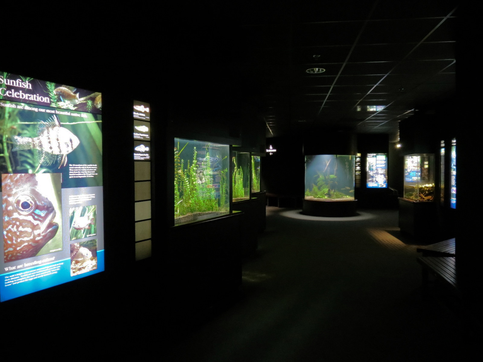 Discovery Hall - Hallway