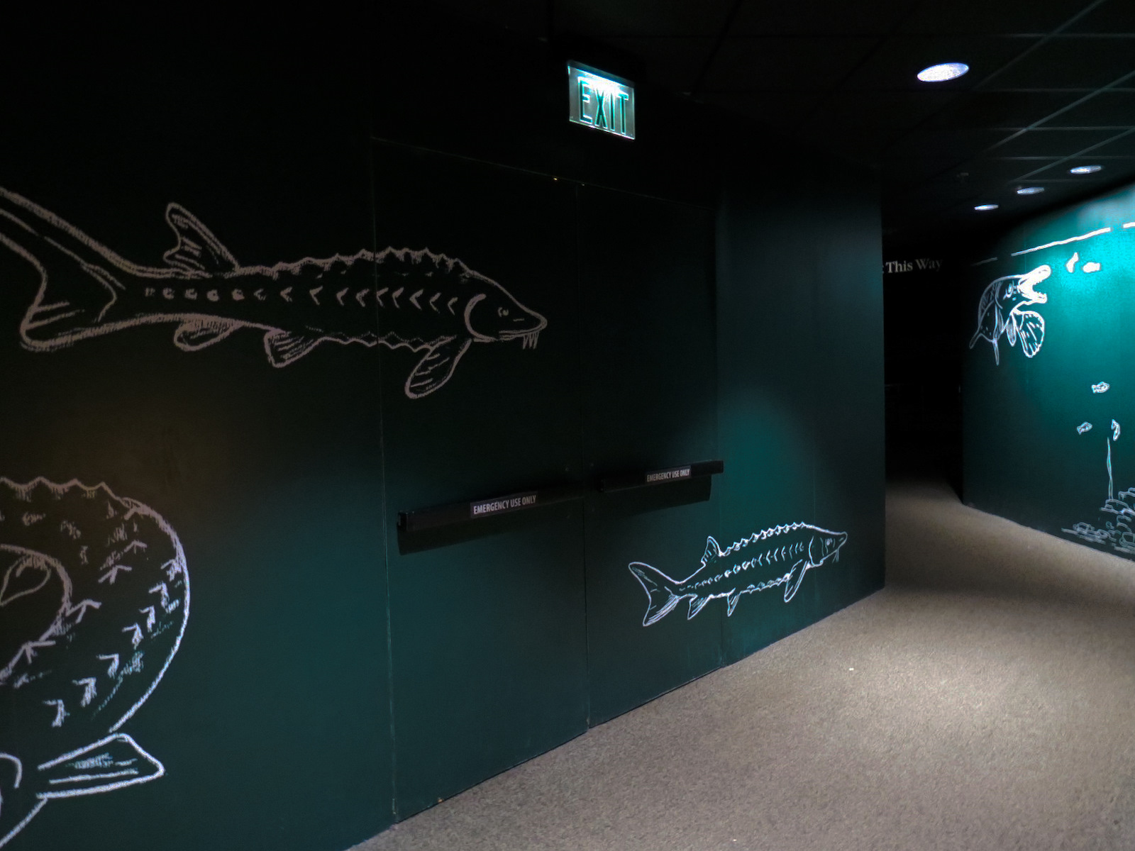 Discovery Hall - Hallway