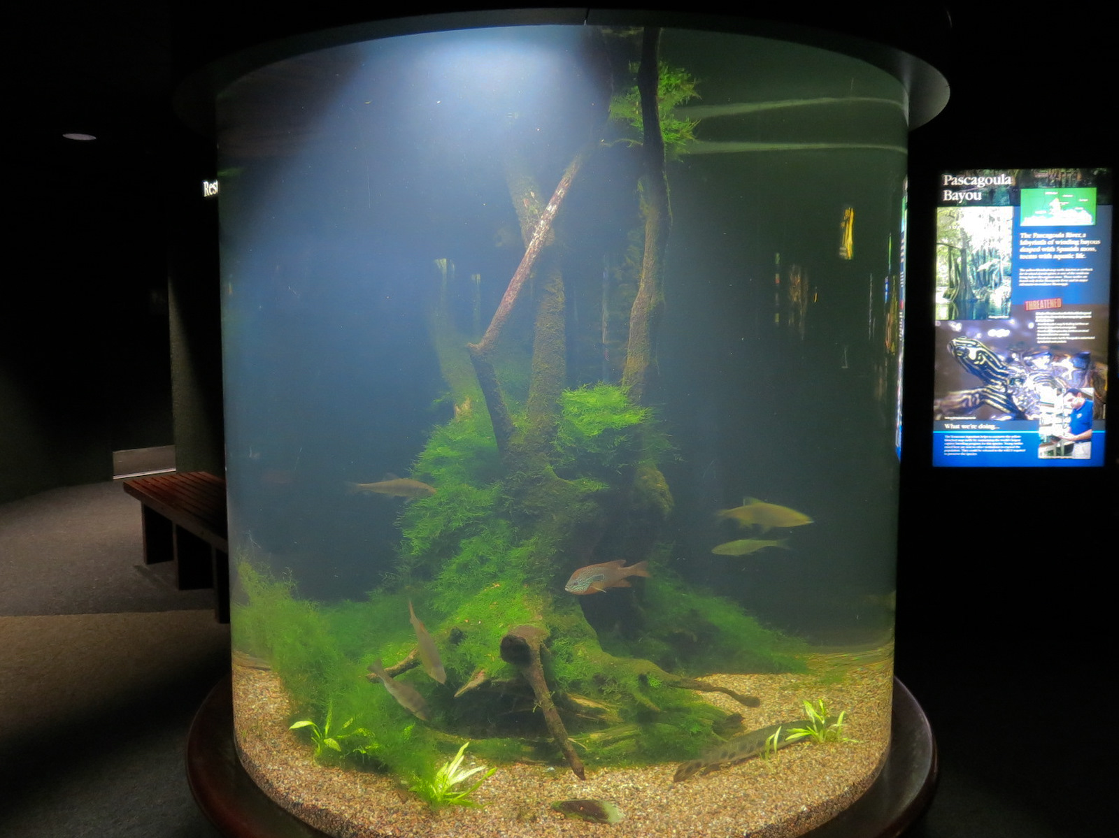 Discovery Hall - Pascagoula River Exhibit