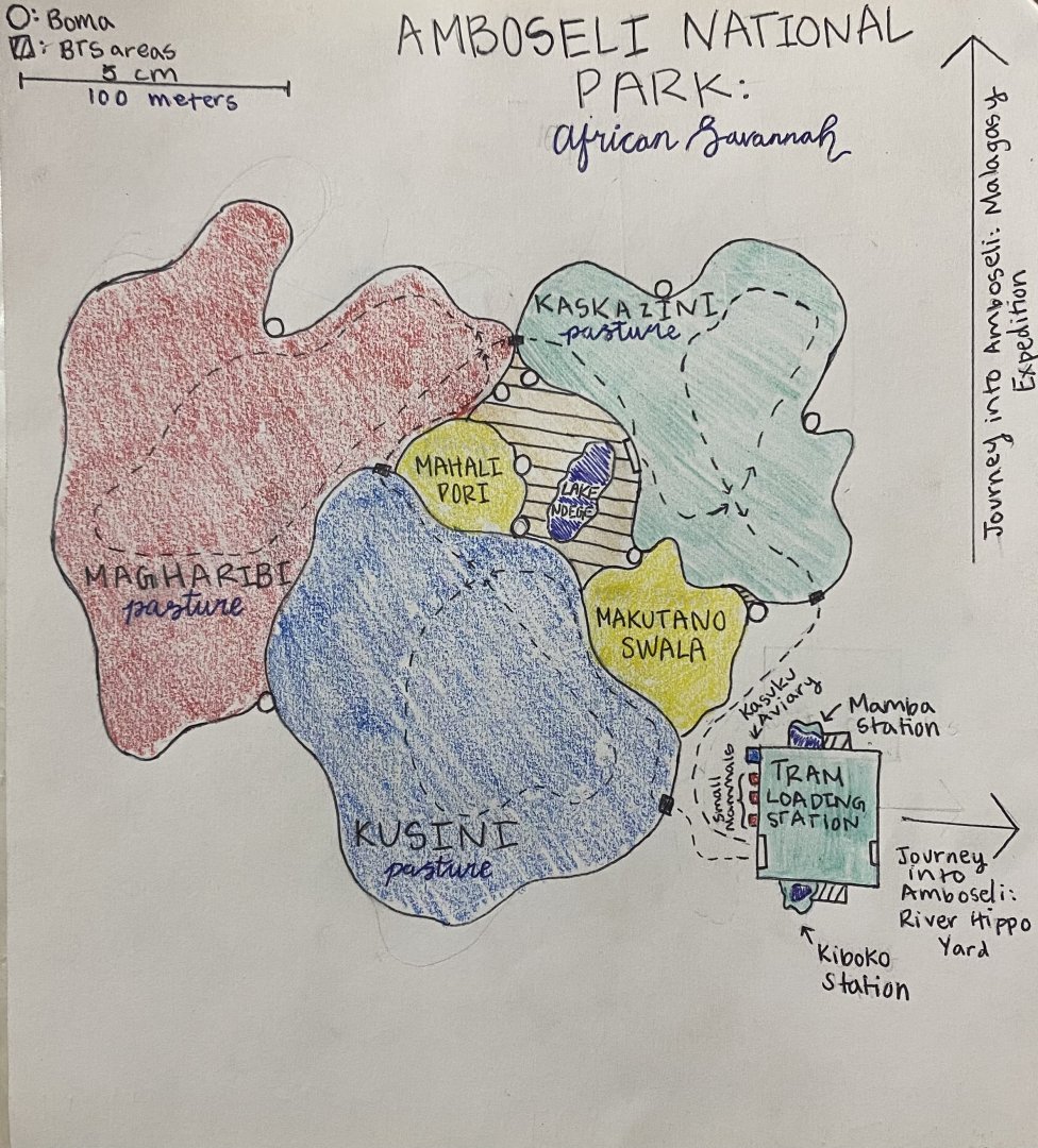 Discovery Hills Zoo - “Amboseli National Park - African Savanna