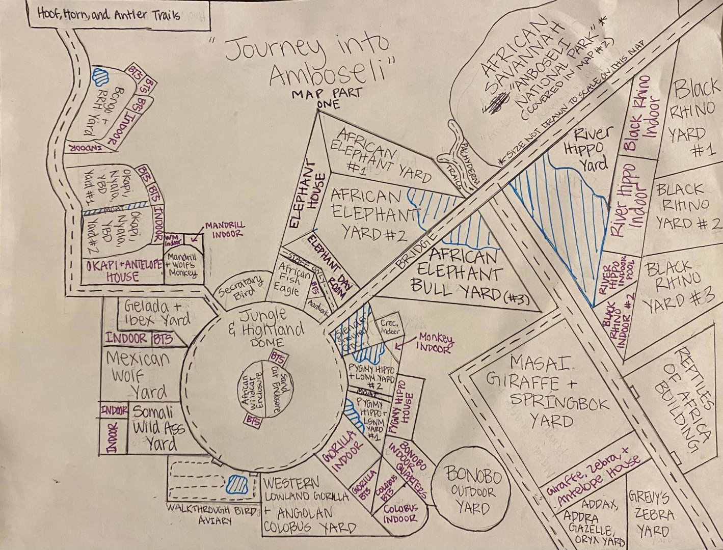 Discovery Hills Zoo - “Journey into Amboseli: from Jungles to Savannas” Part 1