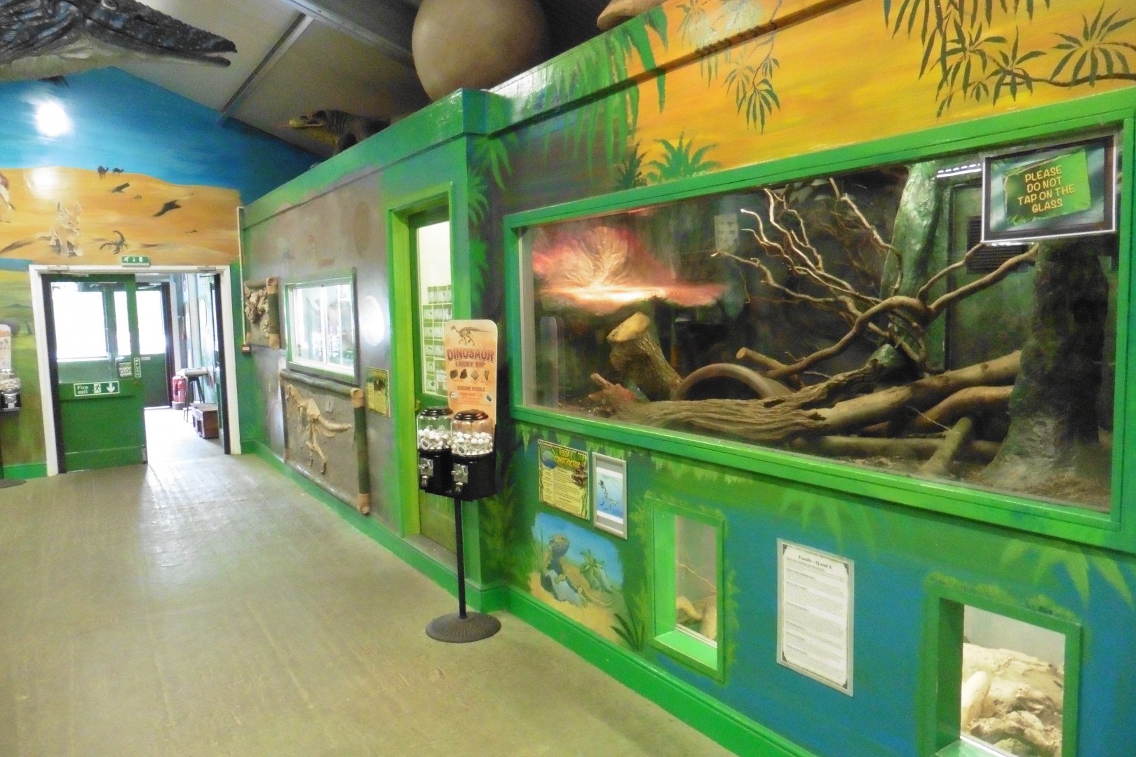 Discovery House terrariums