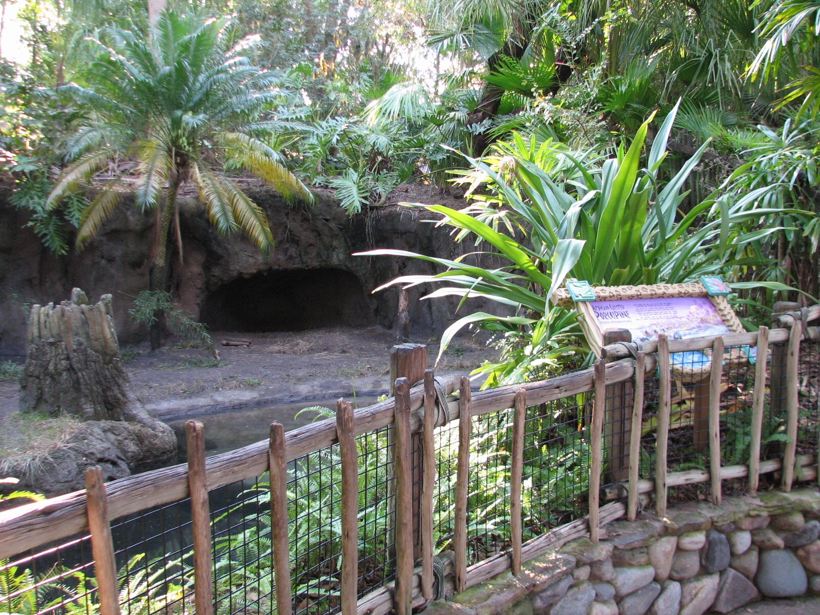 Discovery Island - African Crested Porcupine Exhibit