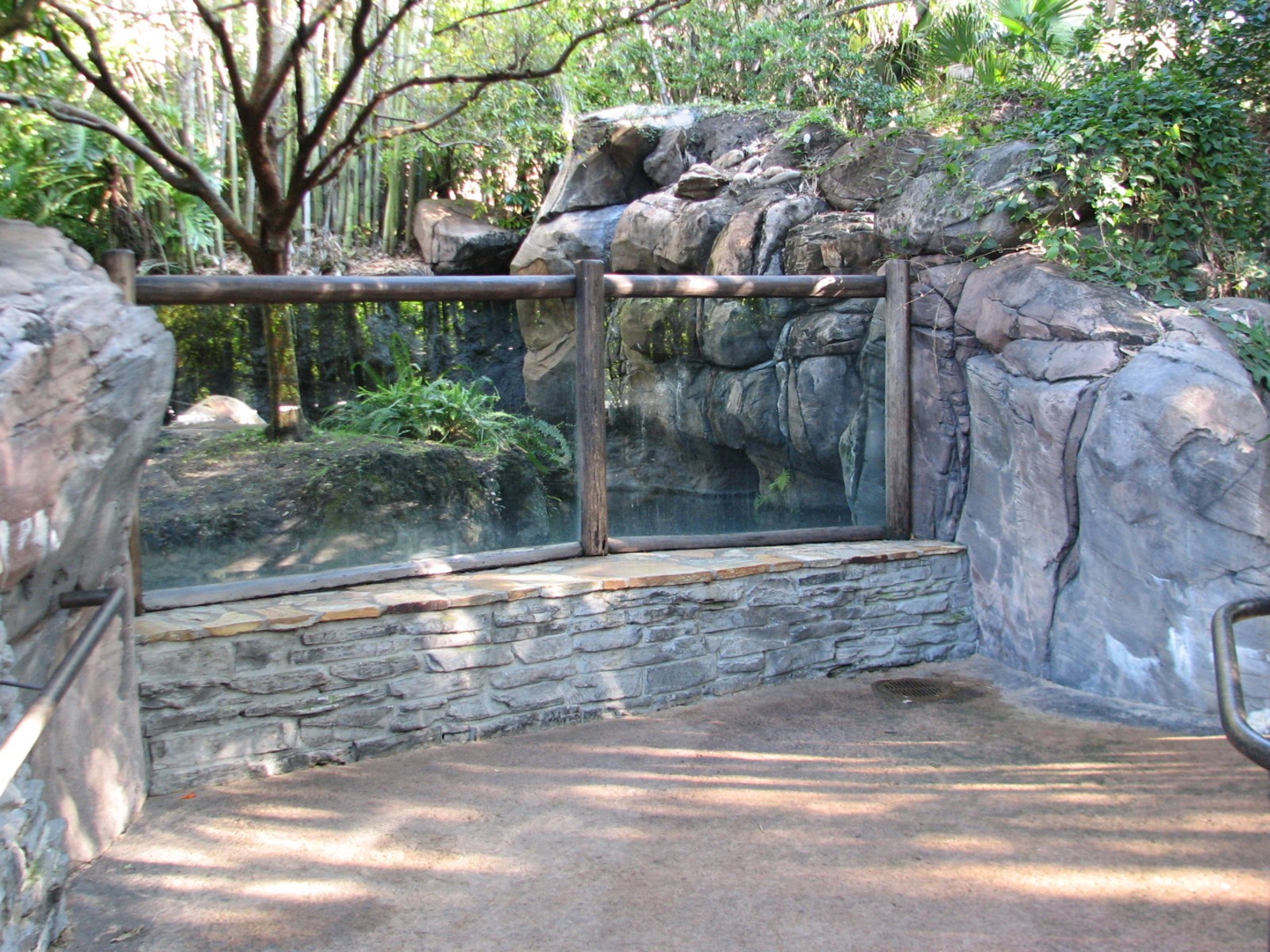 Discovery Island - Asian Small-clawed Otter Exhibit Viewing Area