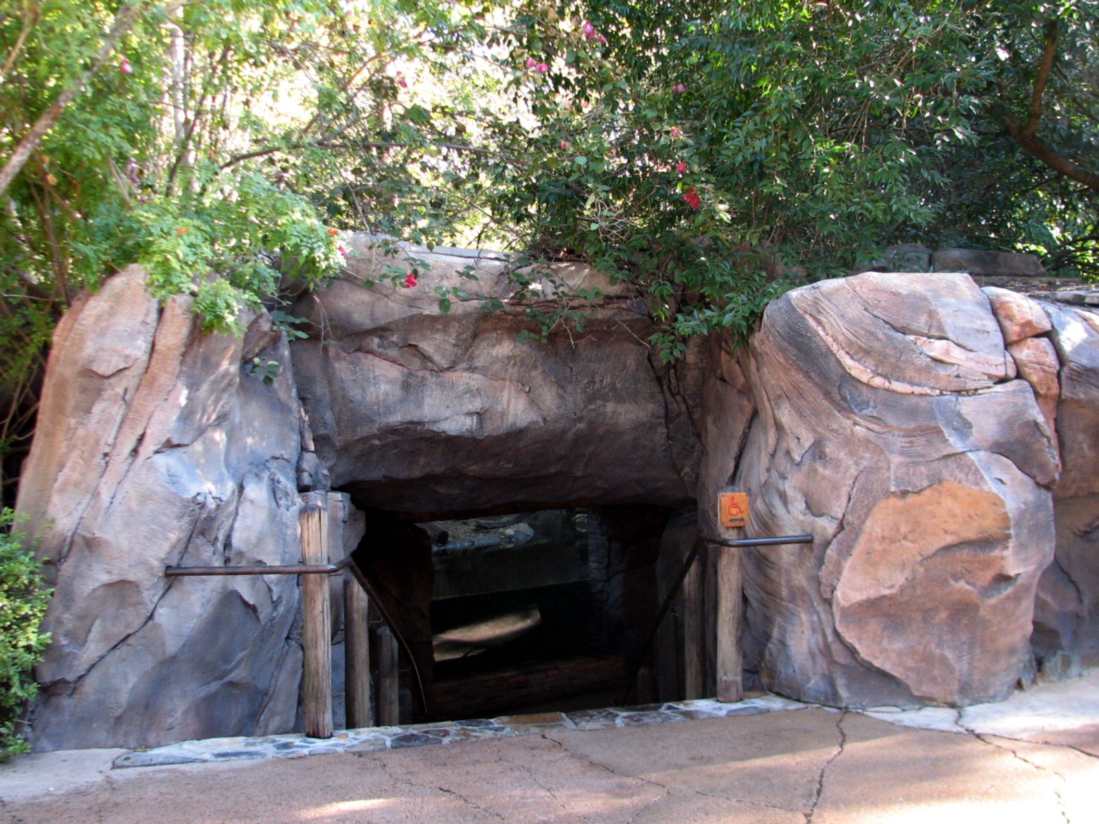Discovery Island - Asian Small-clawed Otter Exhibit Viewing Cave