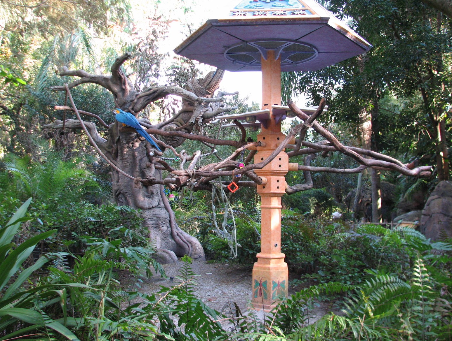 Discovery Island - Blue and Yellow Macaw Exhibit