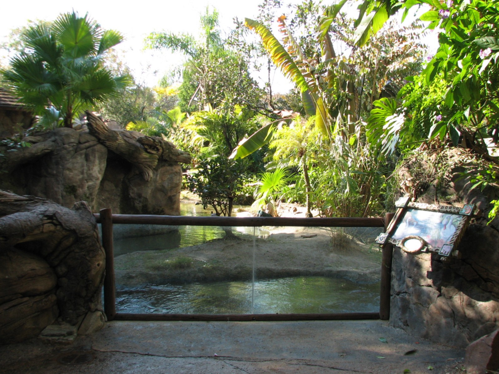 Discovery Island - Collared Lemur, Ring-tailed Lemur, and Coscoran Swan Exh