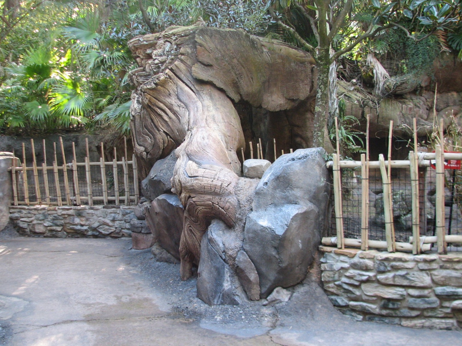 Discovery Island - Gapapagos Tortoise and Nene Goose Exhibit Viewing Area
