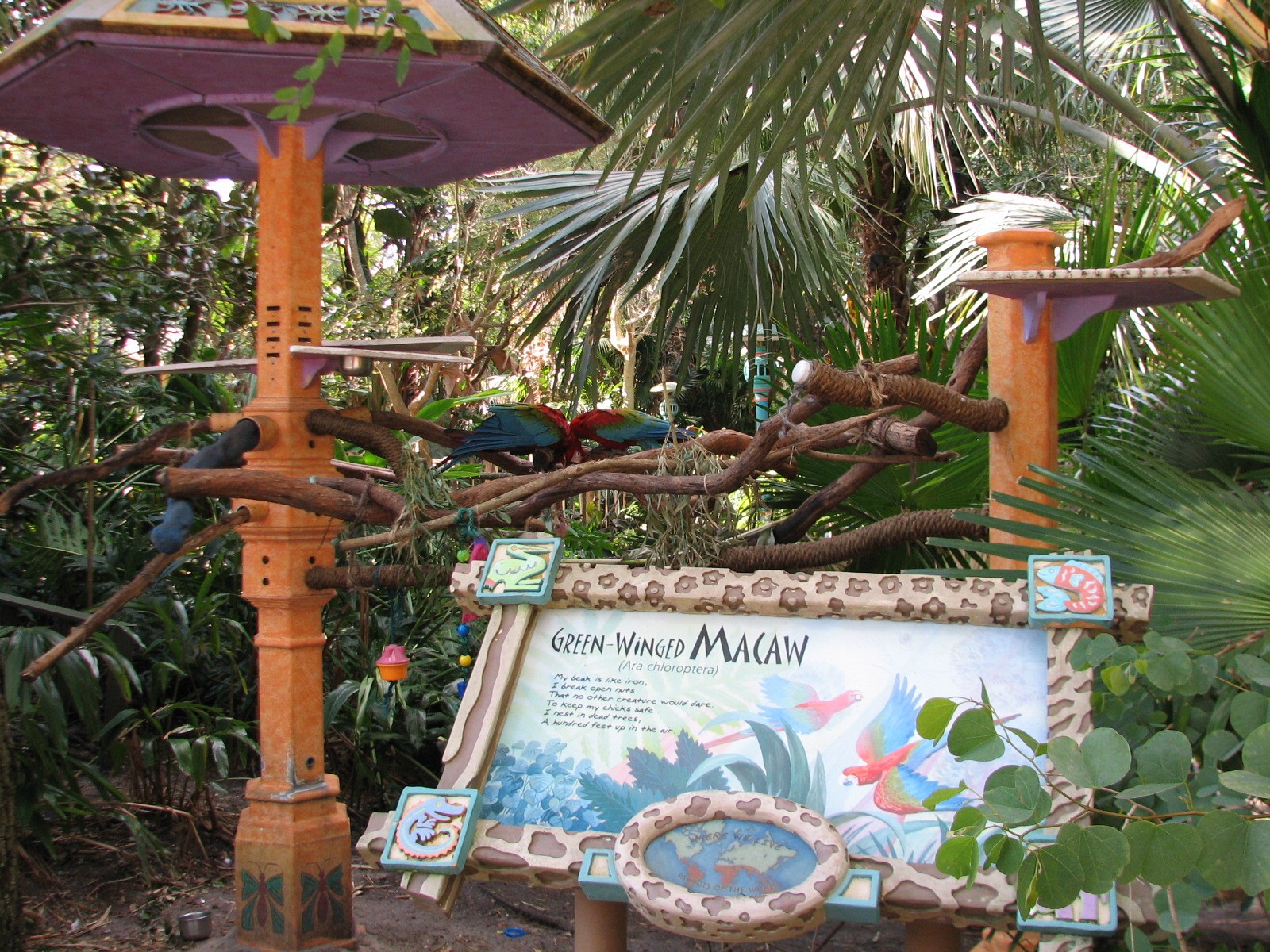 Discovery Island - Green-winged Macaw Exhibit