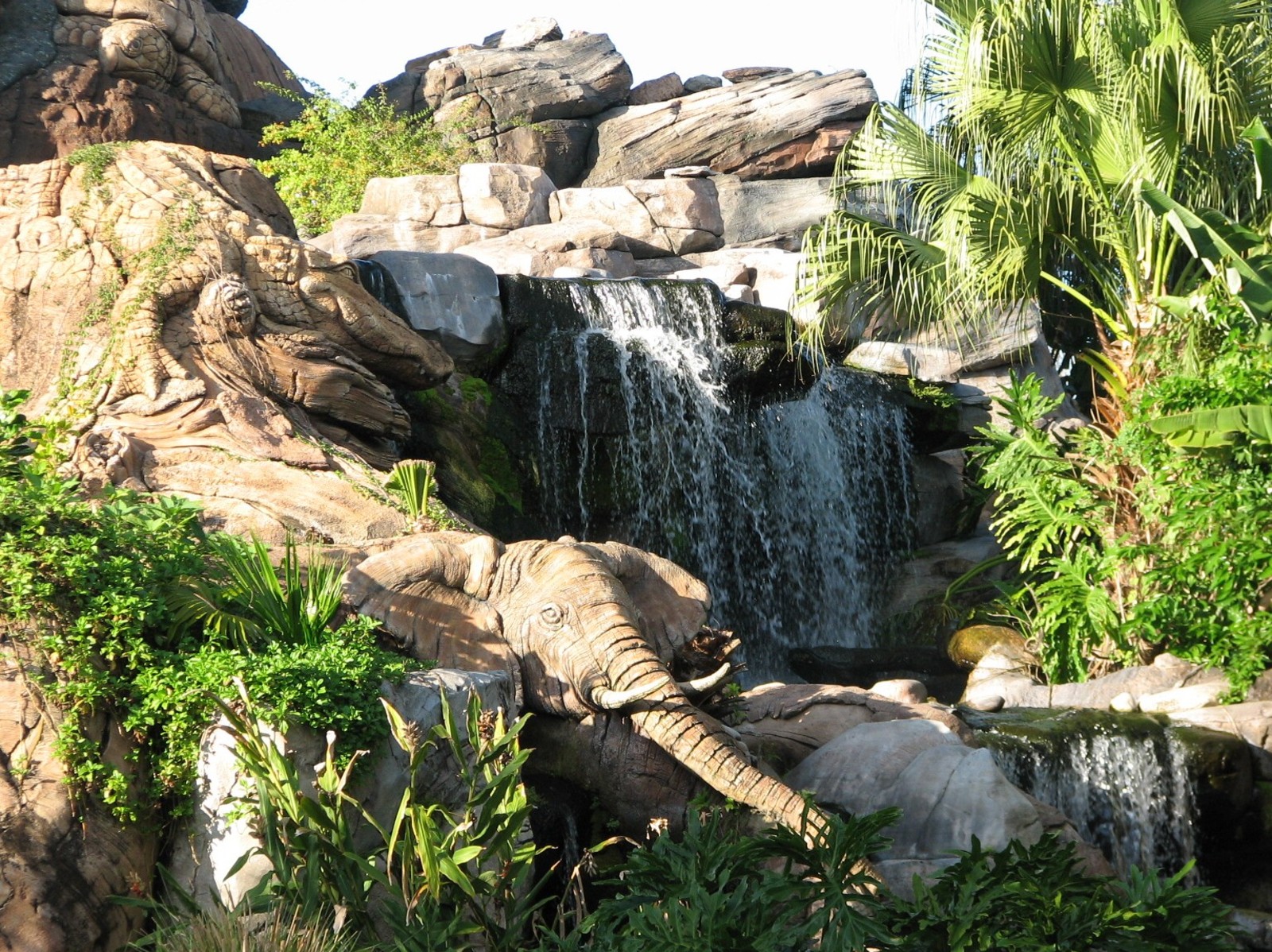 Discovery Island - Trail