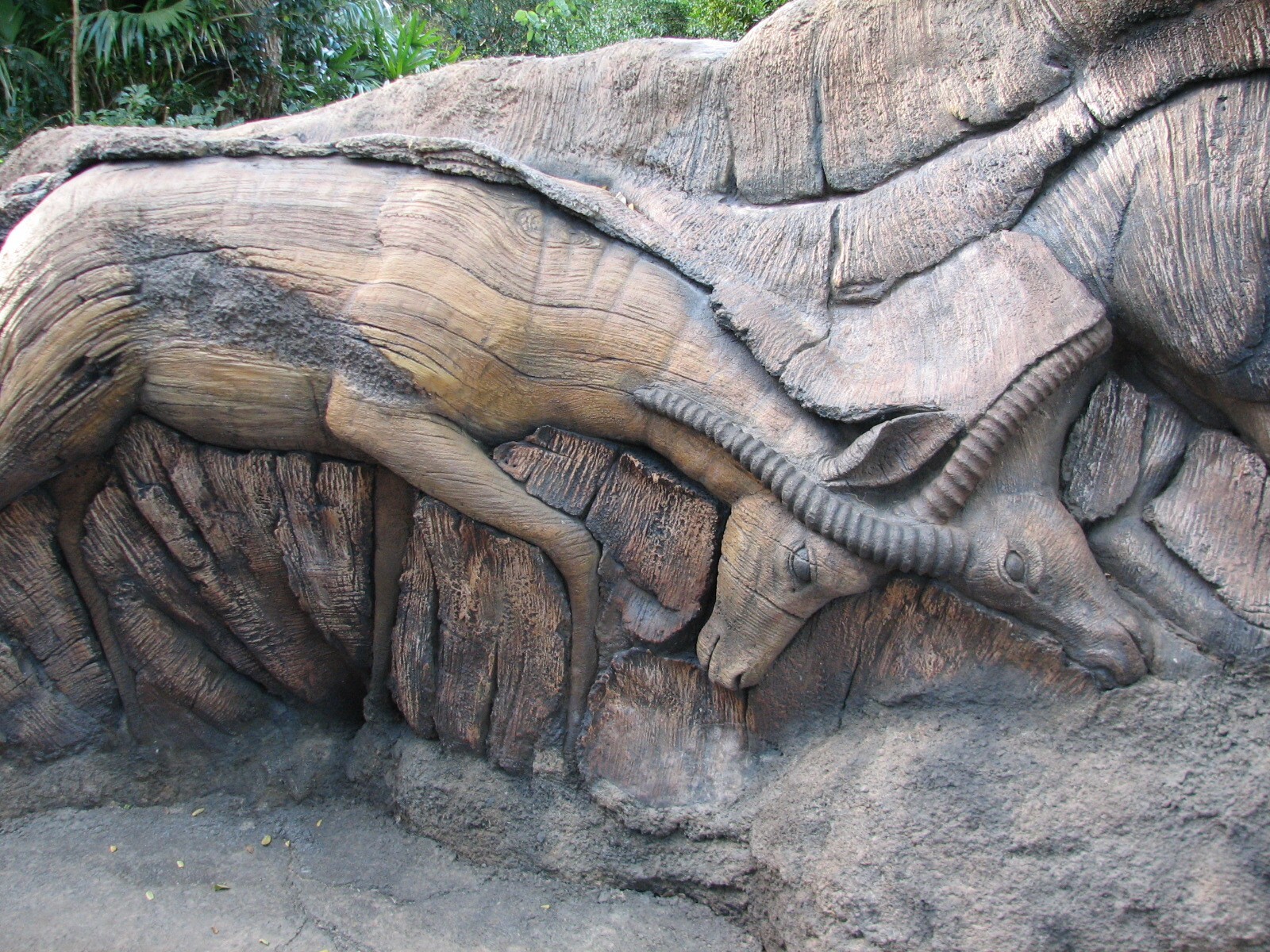 Discovery Island - Trail