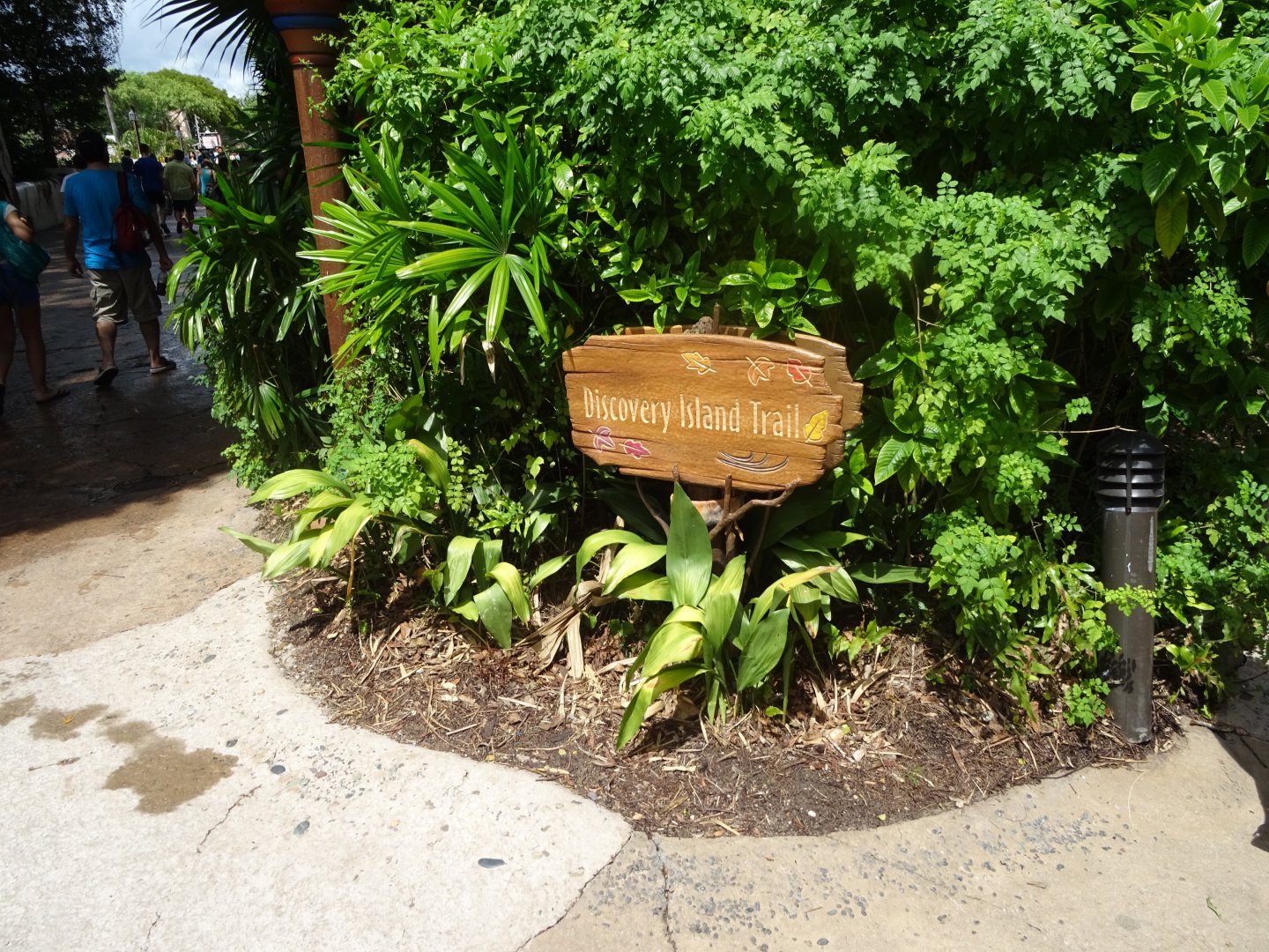 Discovery Island Trails Signage at Disney's Animal Kingdom (2014)