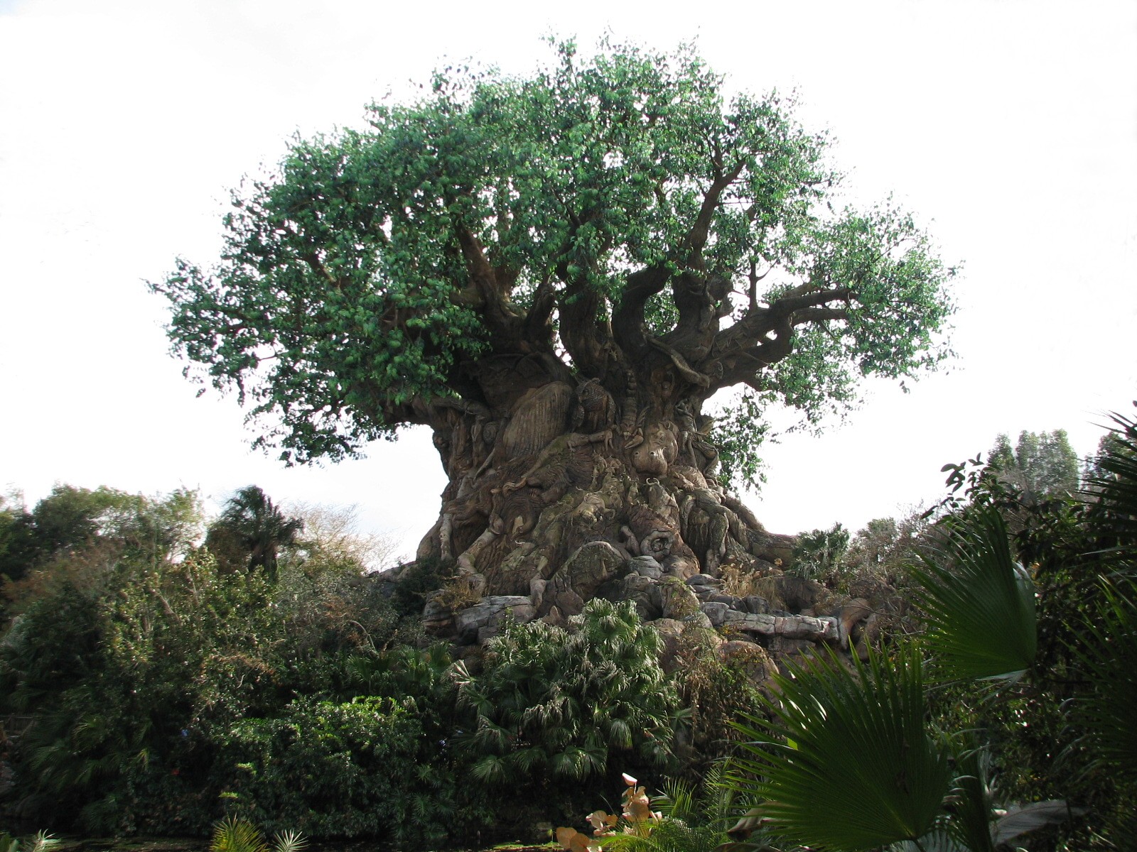 Discovery Island - Tree Of Life