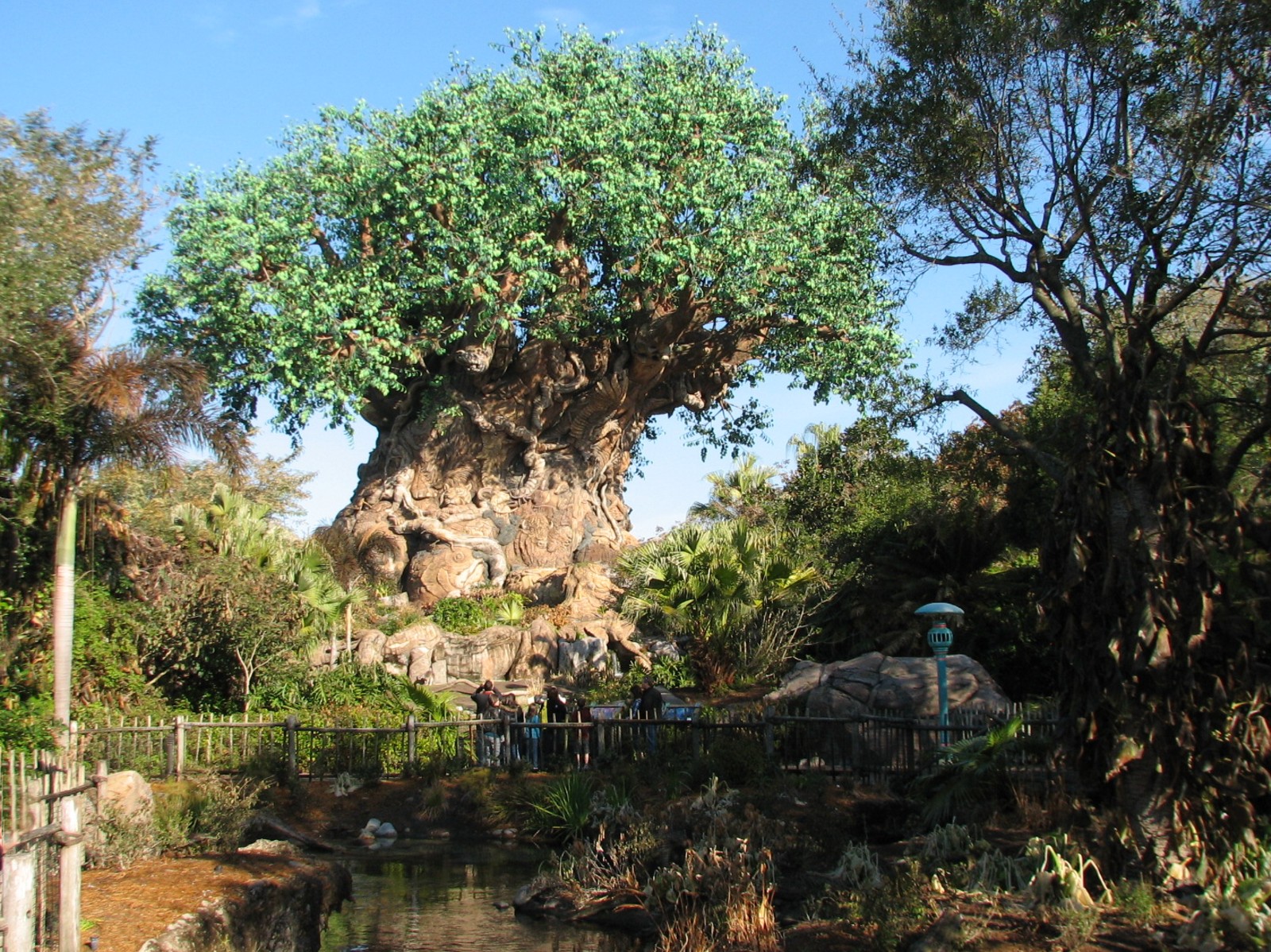 Discovery Island - Tree Of Life