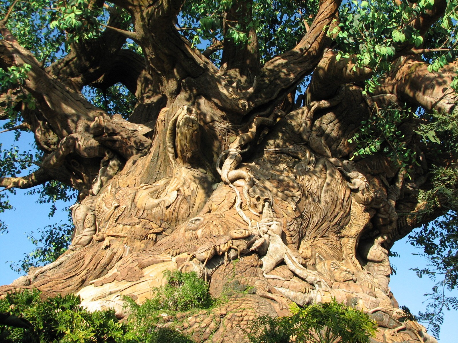 Discovery Island - Tree Of Life