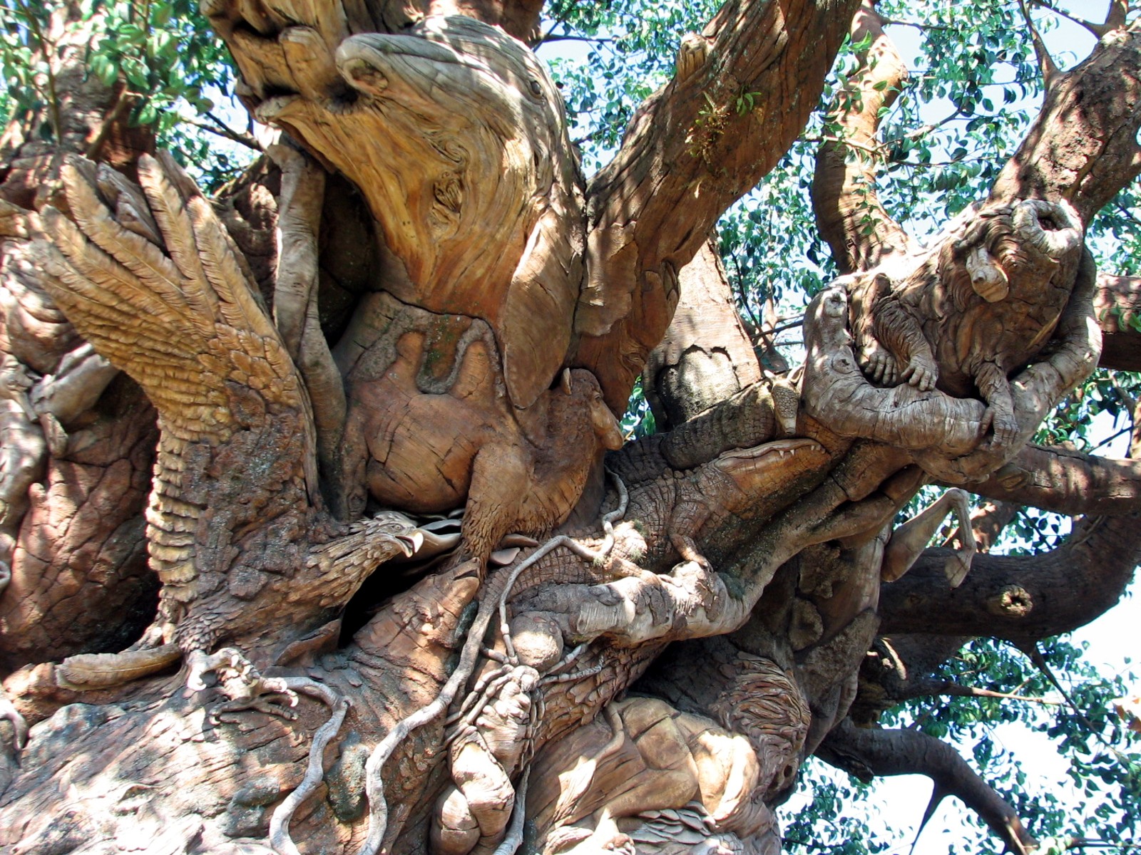 Discovery Island - Tree Of Life