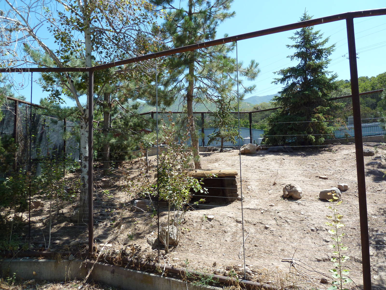 Discovery Land Children's Area - Chacoan Peccary Exhibit