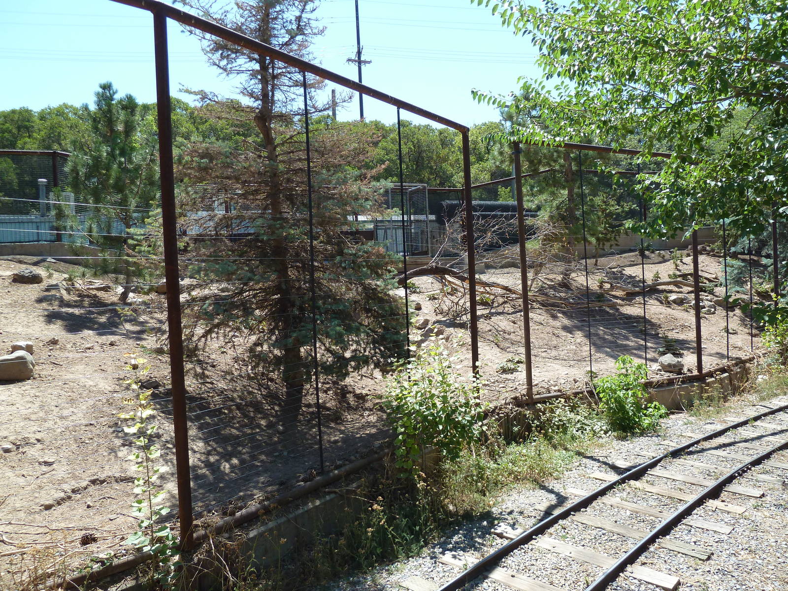Discovery Land Children's Area - Chacoan Peccary Exhibit