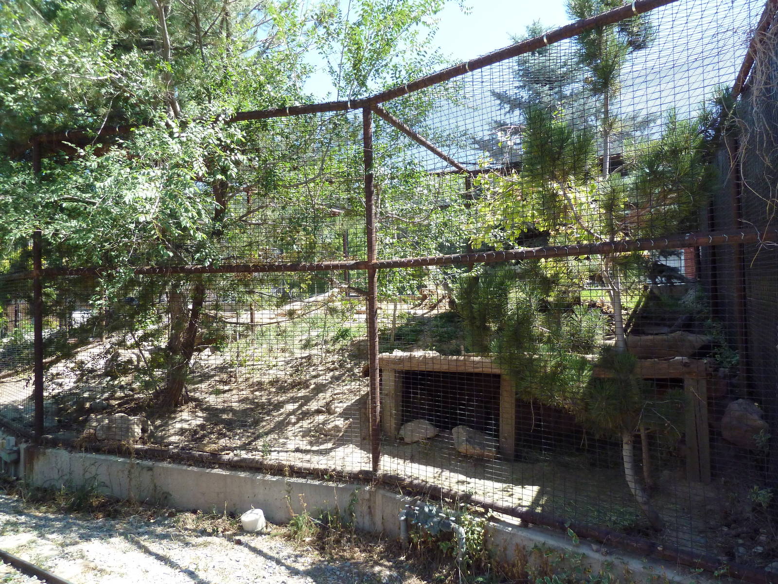 Discovery Land Children's Area - Cougar Exhibit