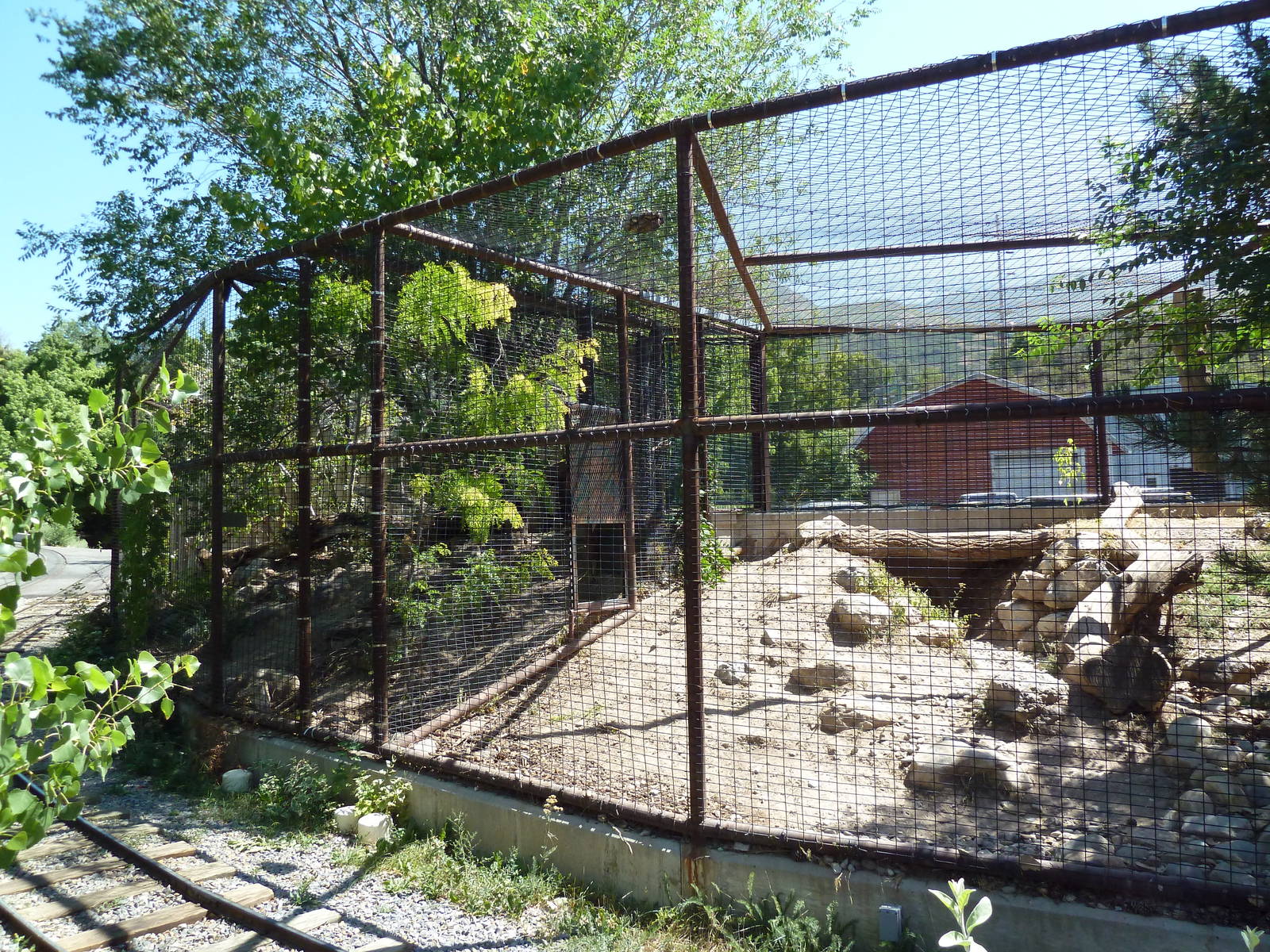 Discovery Land Children's Area - Cougar Exhibit