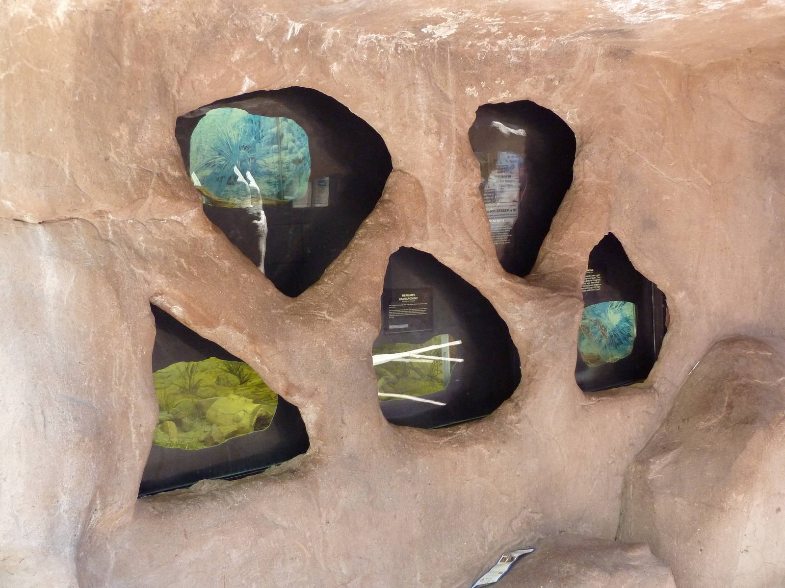 Discovery Land Children's Area - Desert Canyon