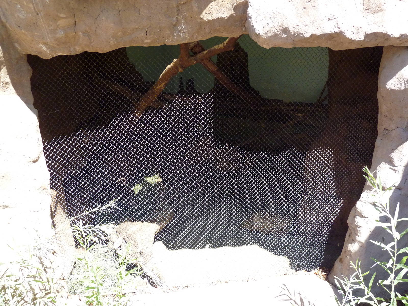 Discovery Land Children's Area - Ocelot Exhibit