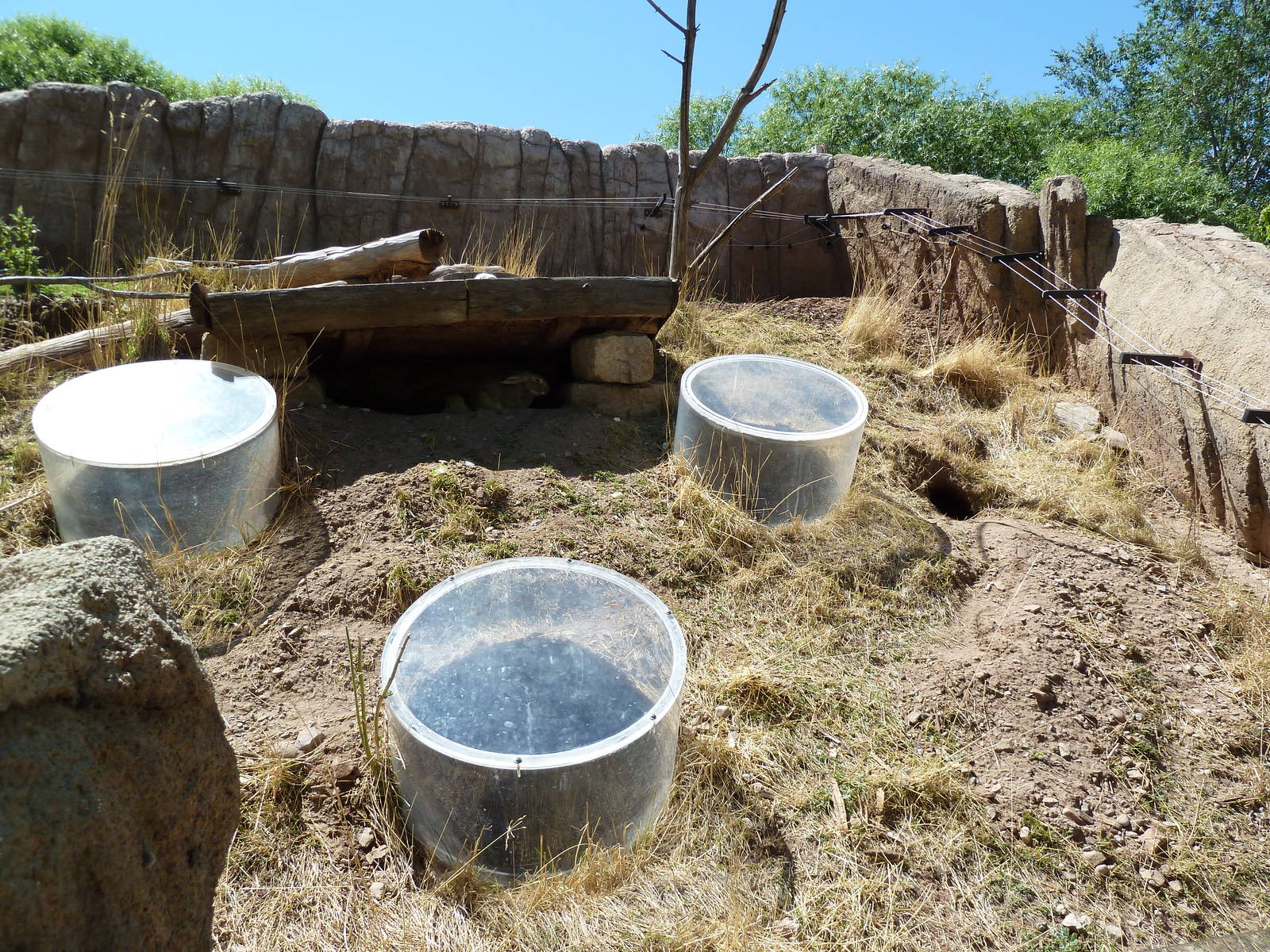 Discovery Land Children's Area - Rabbit Exhibit