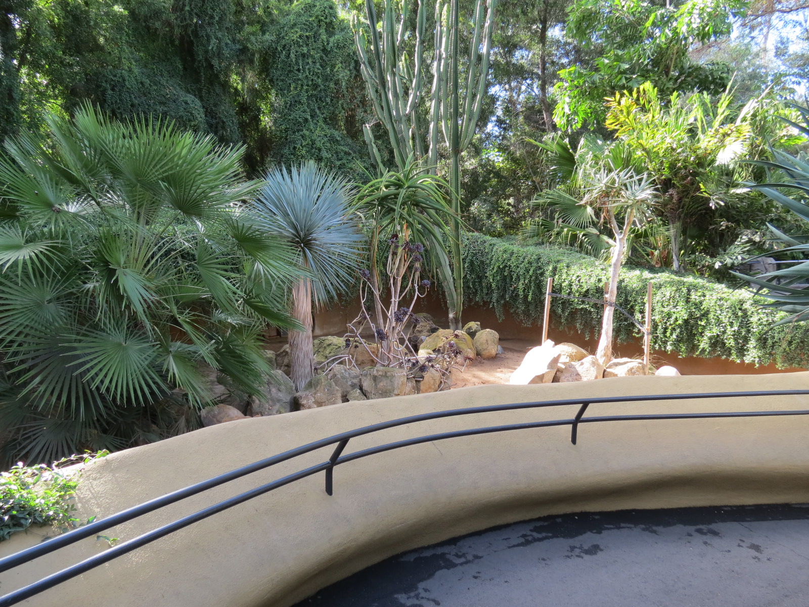 Discovery Outpost - African Spurred Tortoise Exhibit