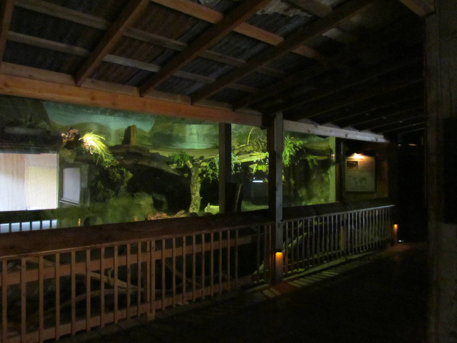 Discovery Outpost - Burmese Python Exhibit