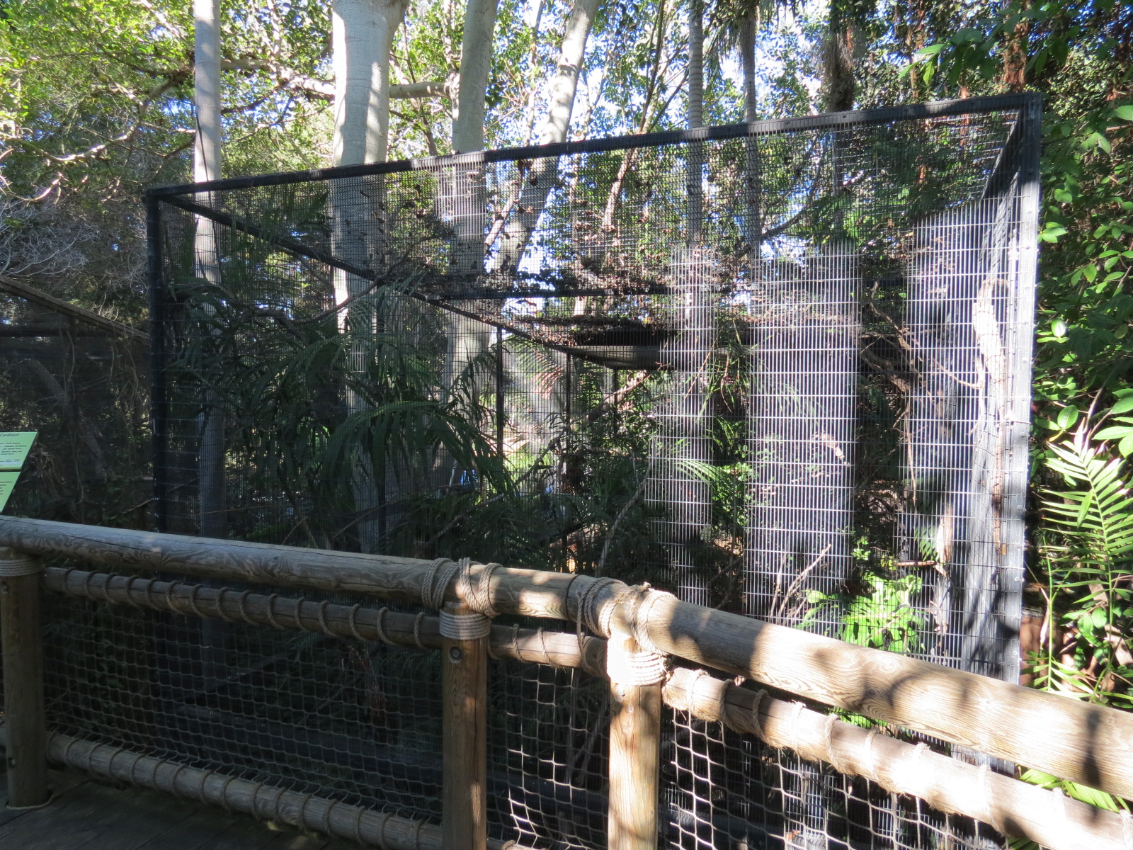 Discovery Outpost - Children's Zoo - Bird Exhibit