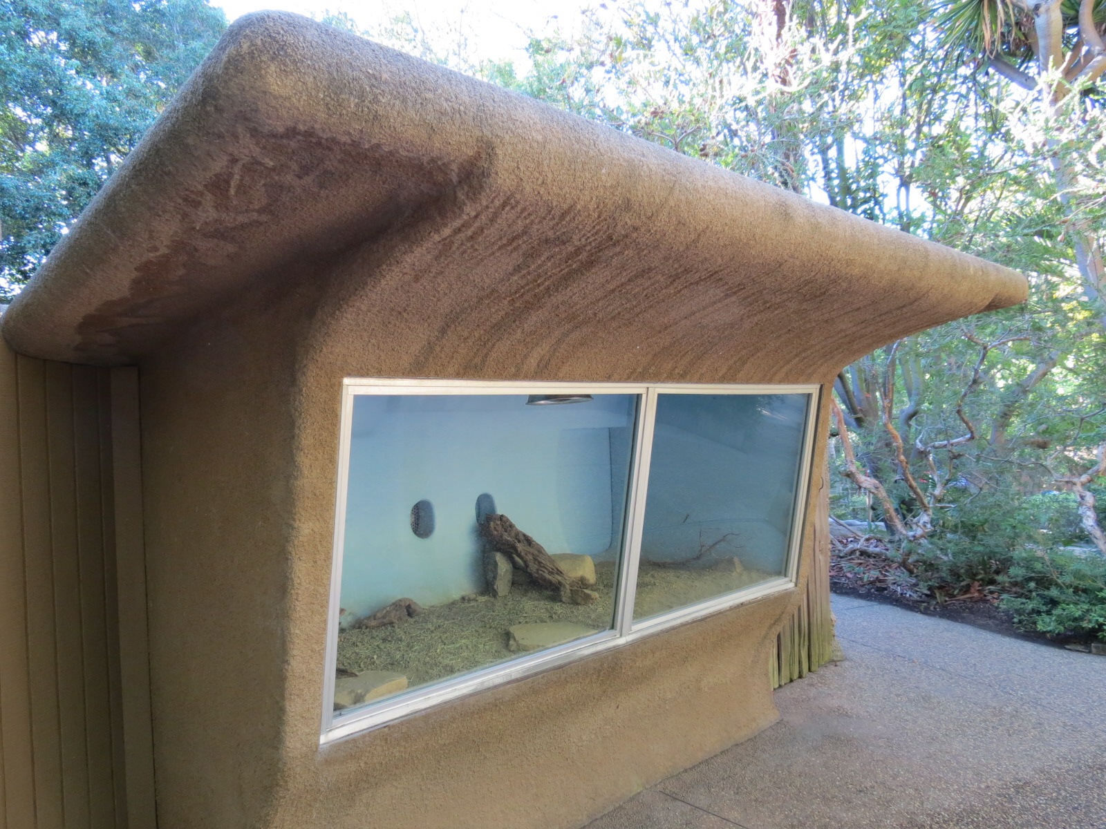 Discovery Outpost - Children's Zoo - Desert Tortoise Exhibit