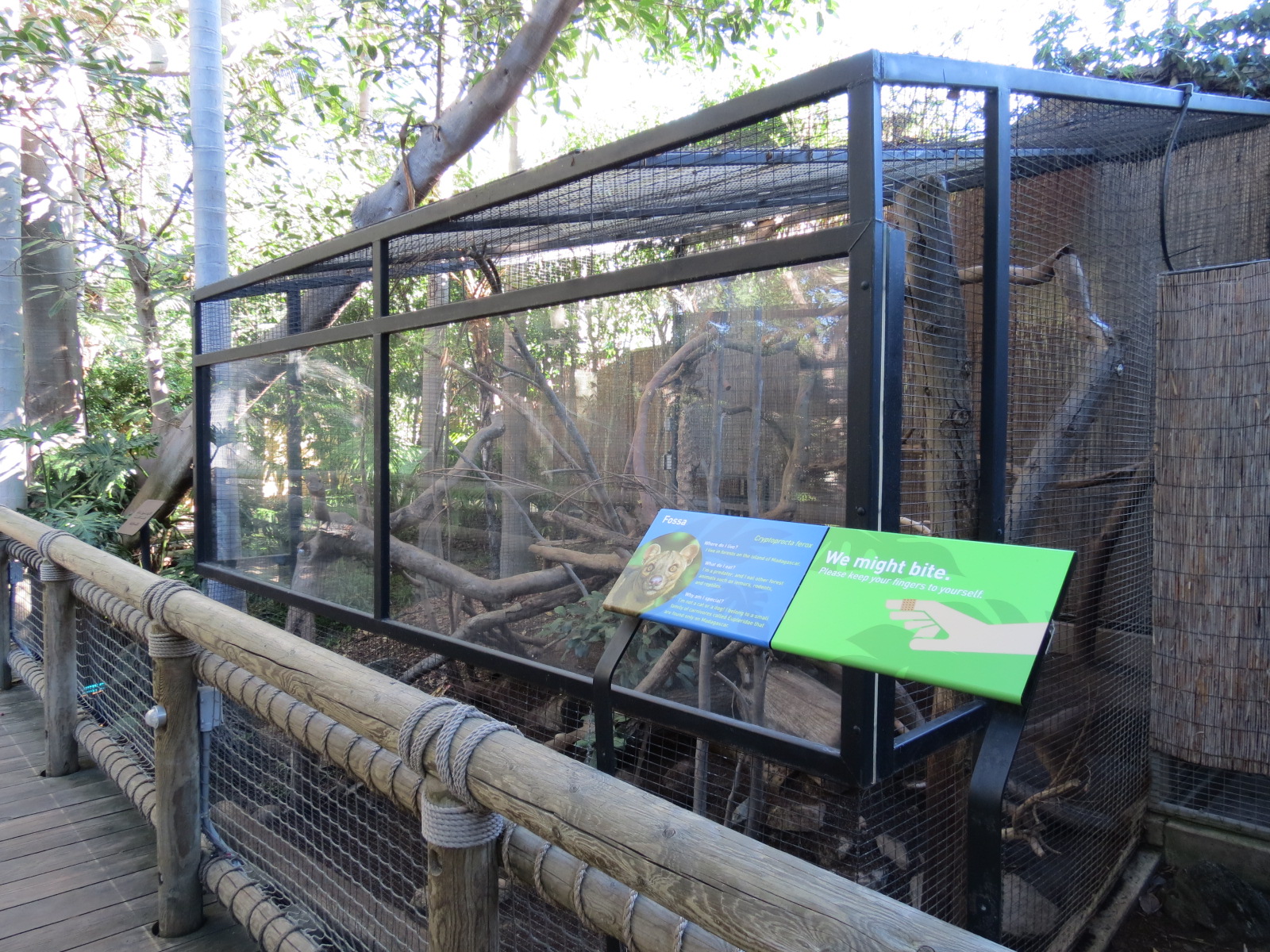 Discovery Outpost - Children's Zoo - Fossa Exhibit