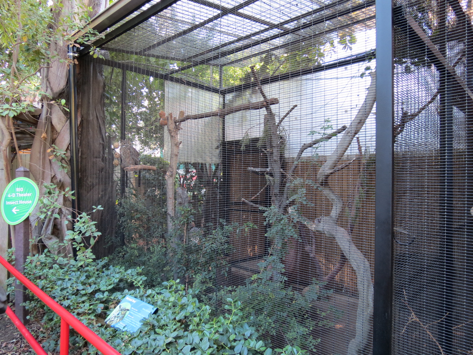 Discovery Outpost - Children's Zoo - Horned Owl Exhibit
