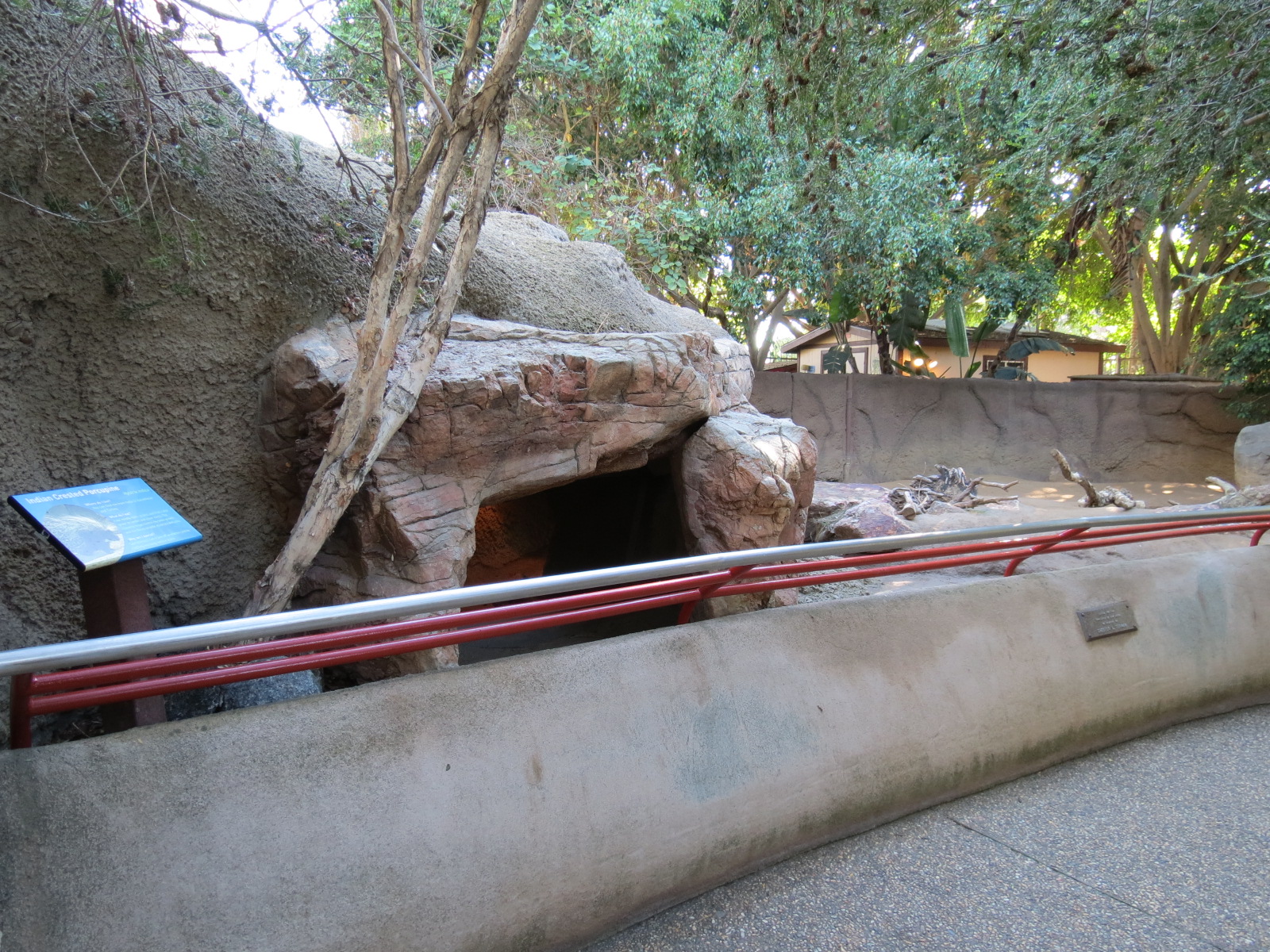 Discovery Outpost - Children's Zoo - Indian Crested Porcupine Exhibit
