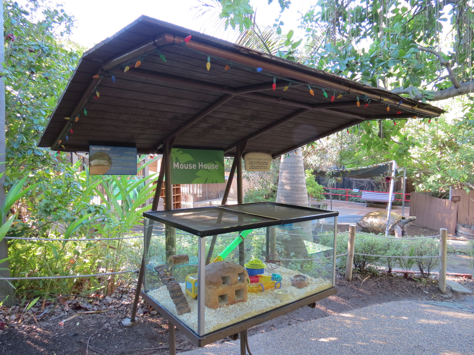 Discovery Outpost - Children's Zoo - Mouse House