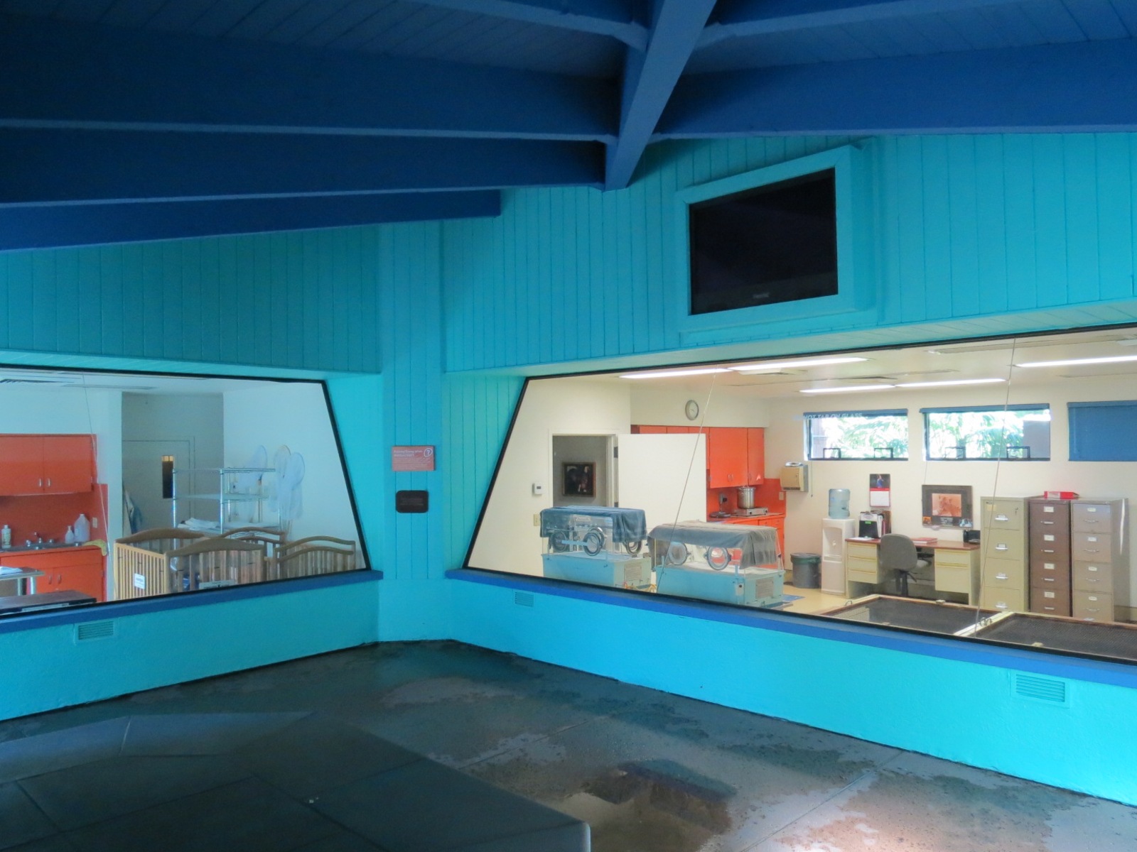 Discovery Outpost - Children's Zoo - Nursery