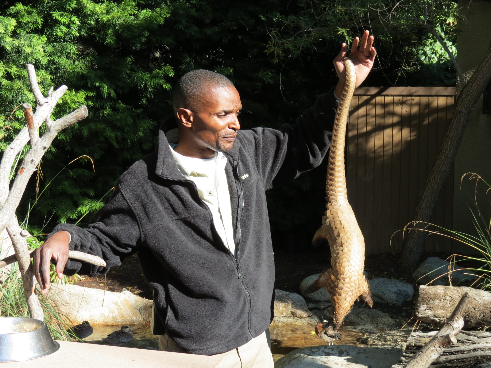Discovery Outpost - Children's Zoo - Pangolin Presentation