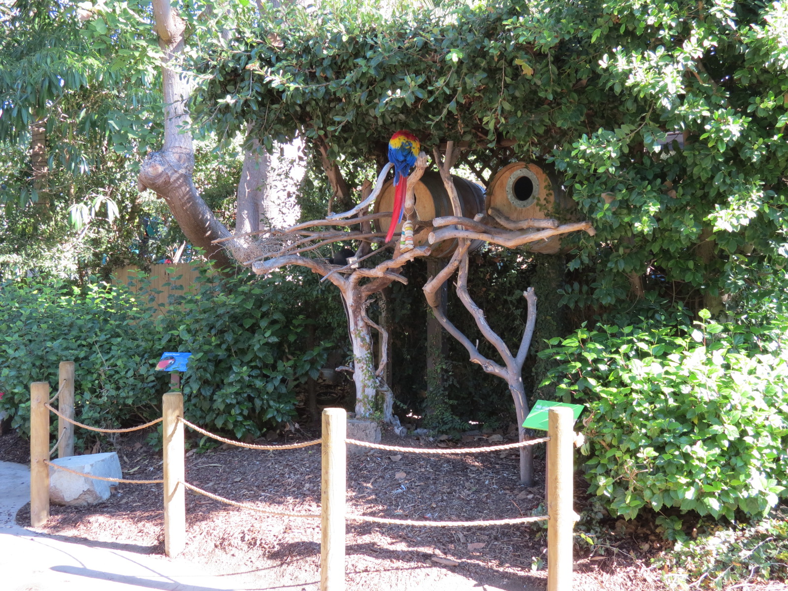 Discovery Outpost - Children's Zoo - Scarlet Macaw Exhibit