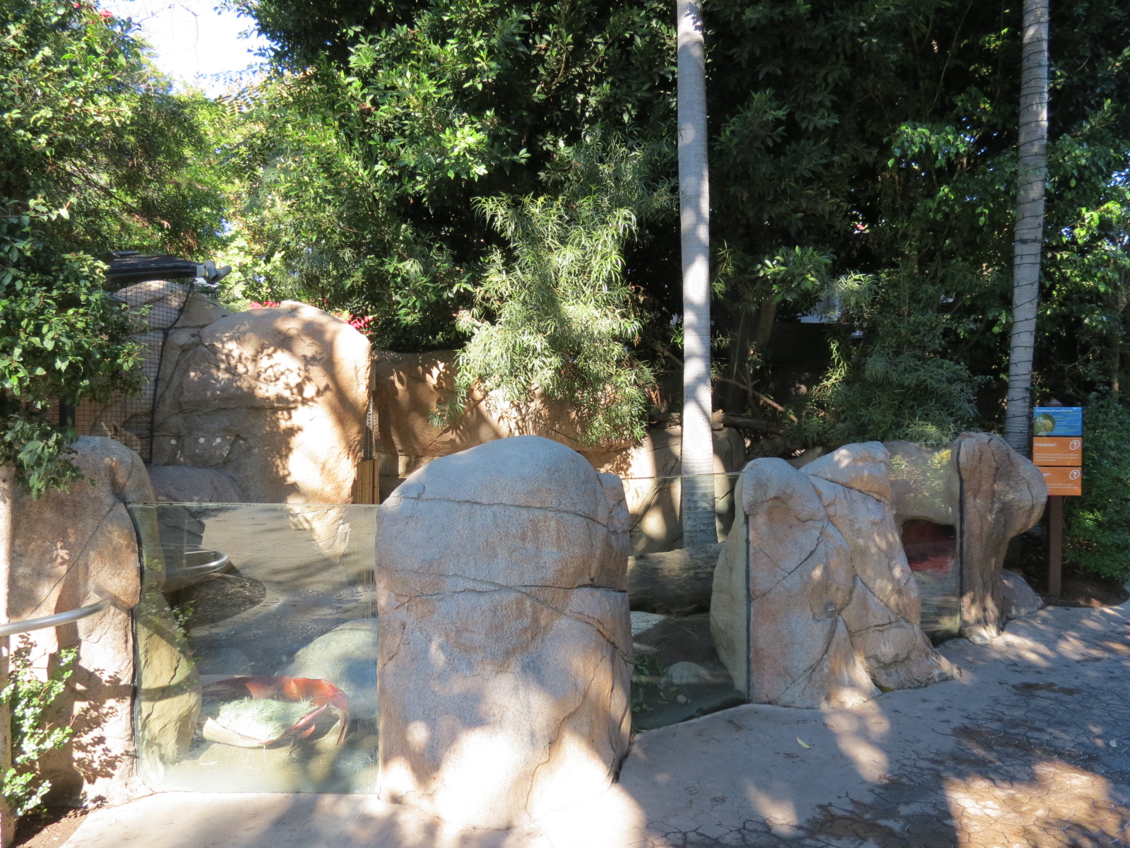 Discovery Outpost - Children's Zoo - Southwest African Meerkat Exhibit