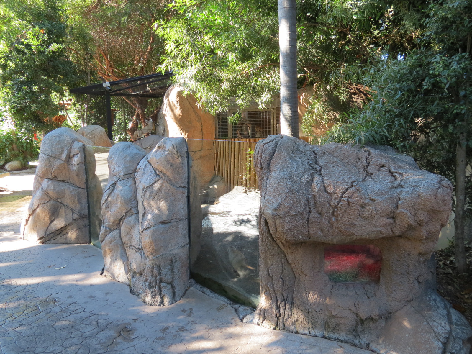 Discovery Outpost - Children's Zoo - Southwest African Meerkat Exhibit