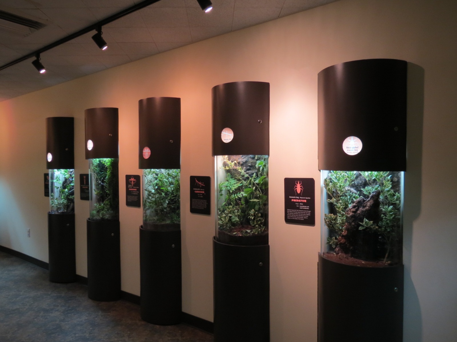 Discovery Outpost - Children's Zoo - Spineless Marvels - Interior