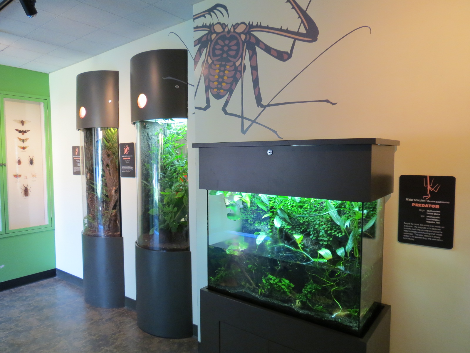 Discovery Outpost - Children's Zoo - Spineless Marvels - Interior