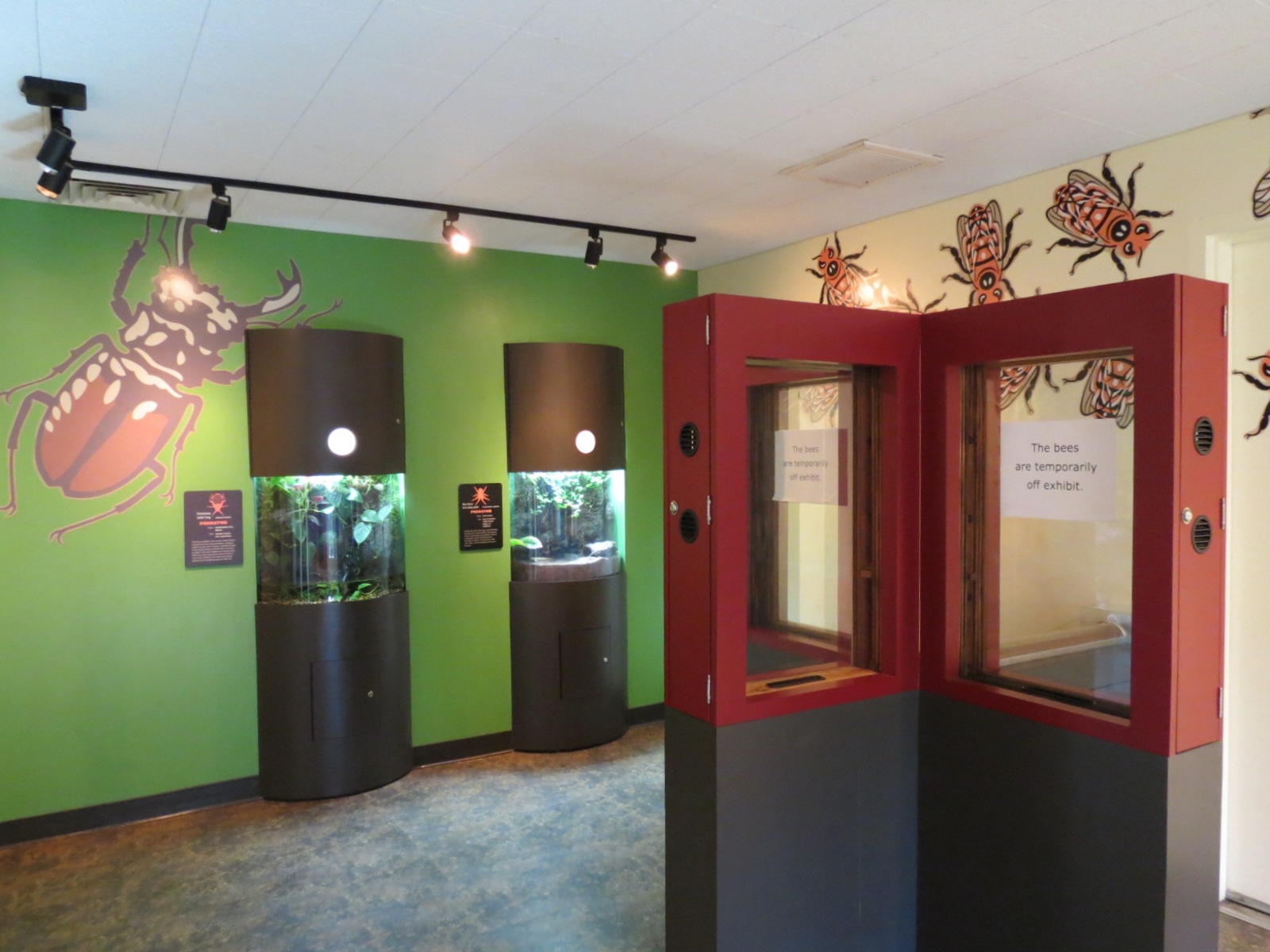 Discovery Outpost - Children's Zoo - Spineless Marvels - Interior