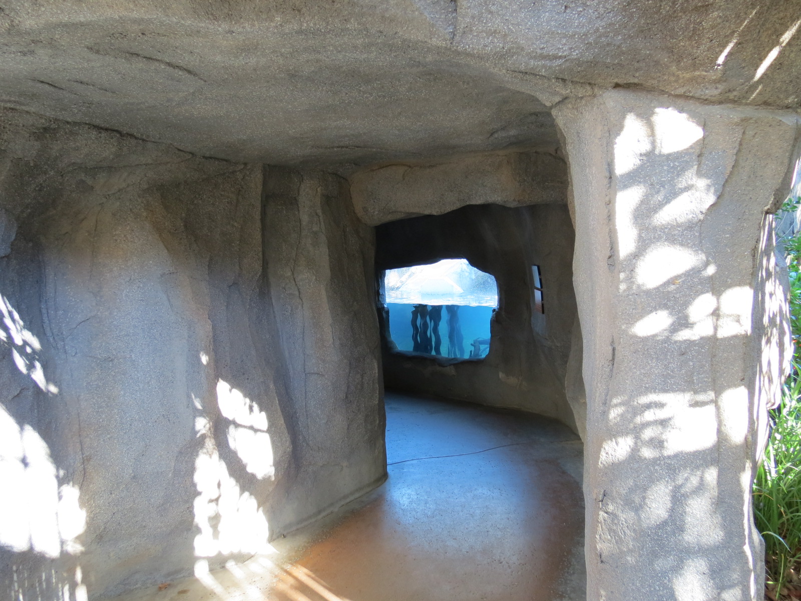 Discovery Outpost - Children's Zoo - Spotted-necked Otter Exhibit