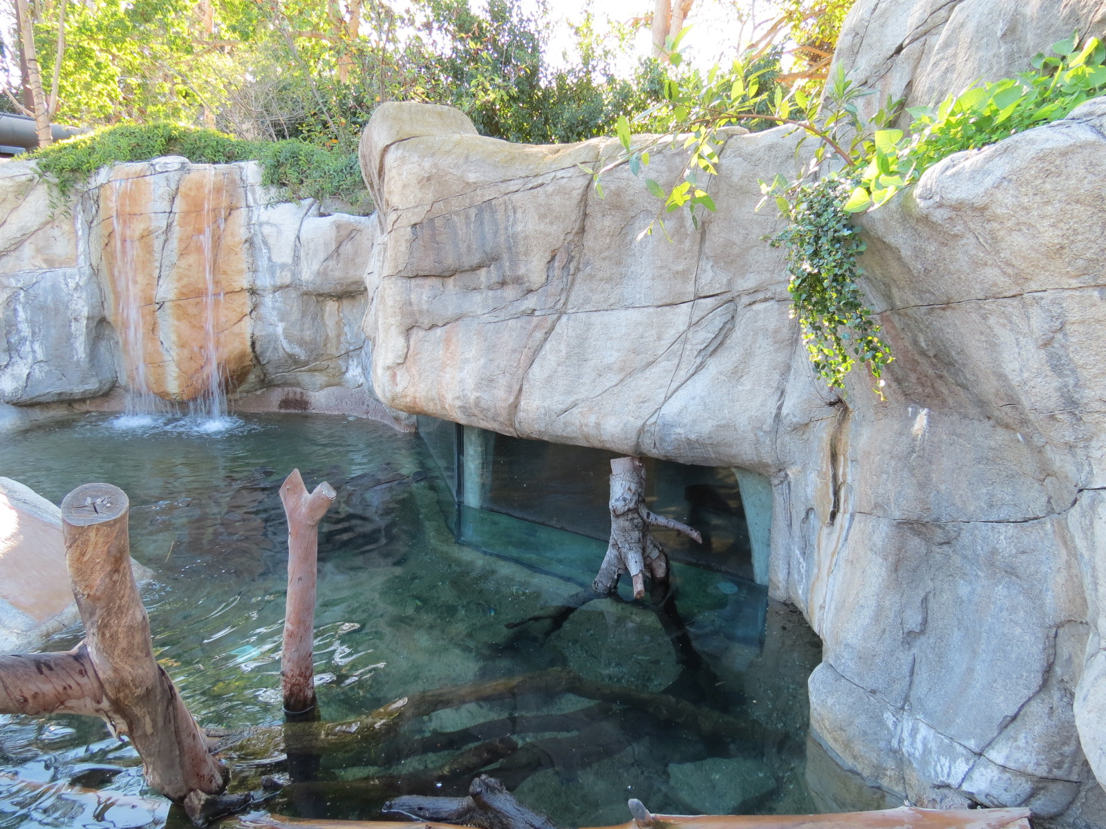 Discovery Outpost - Children's Zoo - Spotted-necked Otter Exhibit