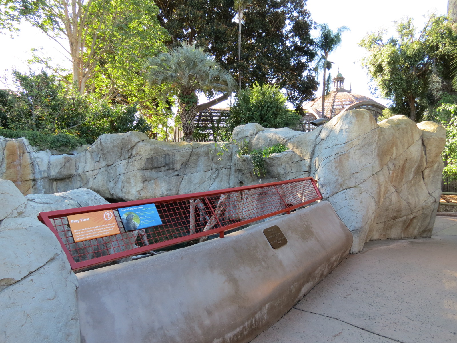 Discovery Outpost - Children's Zoo - Spotted-necked Otter Exhibit